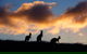 Sky House LifeTime Private Retreats - thumb 1
