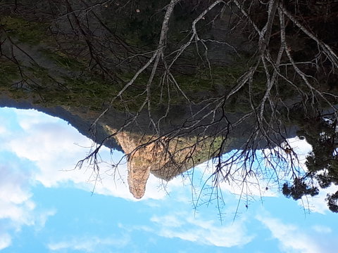 The Barn  House Farm Stay At Possum Manor - Hotel WA 1