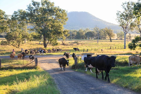 Tommerups Dairy Farmstay - Hotel WA 0