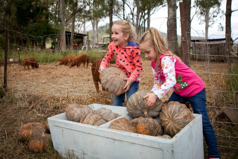 Tommerups Dairy Farmstay - Hotel WA 2