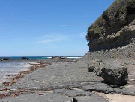 Dolphins Point Tourist Park - Hotel WA 4