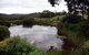 Carolins Organic Farm - thumb 1