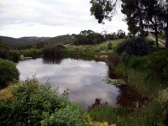 Carolins Organic Farm - Hotel WA 1