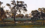 Ardwick Homestead - Hotel WA 1
