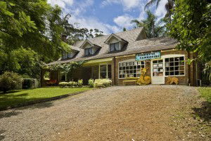 Curtis Falls Mountain Retreat - Hotel WA 0