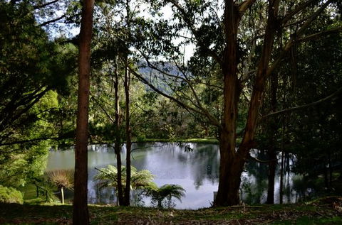 Mirador Springs - Hotel WA 1