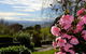 Mirador Springs - thumb 2