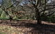 Mirador Springs - thumb 5