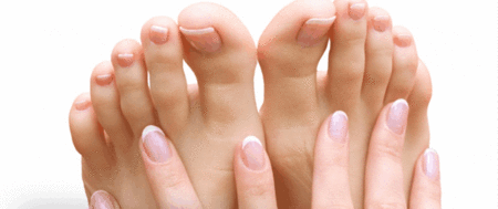 Ella Bache - Hotel WA 1