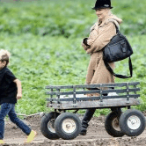 Perth City Farm Organic Markets - Hotel WA
