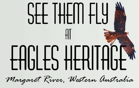 Eagles Heritage Raptor Wildlife Centre - Hotel WA 0