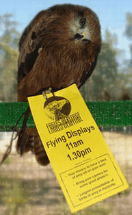 Eagles Heritage Raptor Wildlife Centre - Hotel WA 1