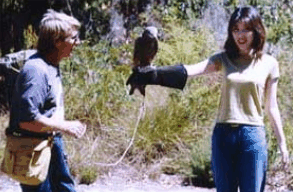 Eagles Heritage Raptor Wildlife Centre - Hotel WA 2