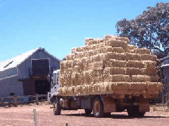 Avondale Discovery Farm - Hotel WA 1