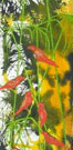 Jahroc Mill Gallery - Hotel WA 3