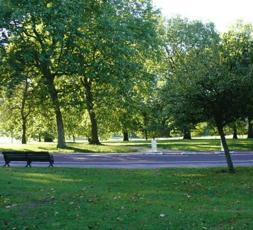 William Taylor Park - Hotel WA