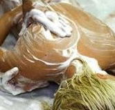 Exotique Massage - Hotel WA