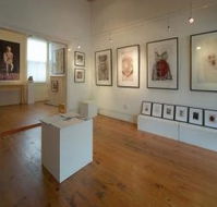 Bird's Gallery - Hotel WA