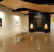 Counihan Gallery In Brunswick - Hotel WA