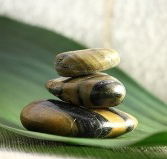 The Nature of Balance - Hotel WA