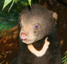 Perth Zoo - Hotel WA