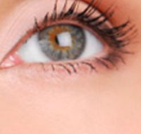 Cinnamon Stix Hair  Day Spa - Hotel WA