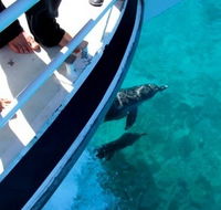 Pelican Charters - Hotel WA