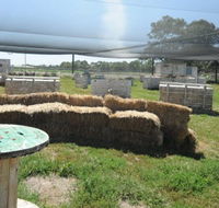 We Are Paintball - Hotel WA