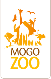 Mogo Zoo - Hotel WA