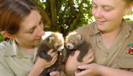 Mogo Zoo - Hotel WA 3