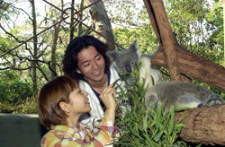 Taronga Zoo - Hotel WA 2