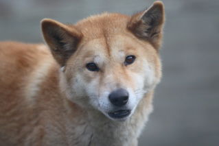 Moonlit Sanctuary Wildlife Conservation Park - Hotel WA 3