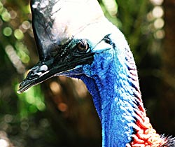Alma Park Zoo - Hotel WA 0