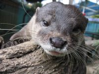 Underwater World - Hotel WA 1