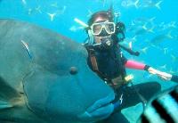 Maxi Ragamuffin - Hotel WA 1