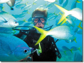 Maxi Ragamuffin - Hotel WA 3