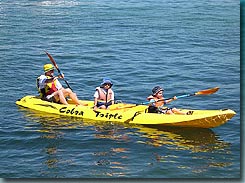 Manly Kayaks - Hotel WA 3
