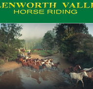 Glenworth Valley Horseriding - Hotel WA