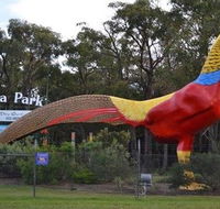 Gumbuya Park - Hotel WA