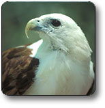 Kakadu National Park - Hotel WA 0