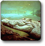 Kakadu National Park - Hotel WA 1