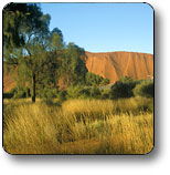 Uluru - Kata Tjuta National Park - Hotel WA 0