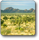 Uluru - Kata Tjuta National Park - Hotel WA 2