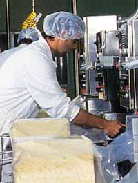Allansford Cheese World - Hotel WA 1