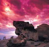 Kangaroo Island Adventure Tour 2 day/1 night - Hotel WA