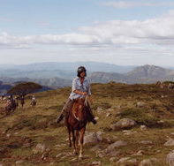High Country Horses - Hotel WA