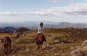 High Country Horses - Hotel WA 0