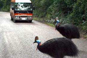 Kookaburra Tours - Hotel WA 0