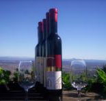 Mount Tamborine Winery  Homestead - Hotel WA