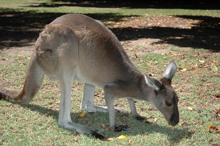 Bunbury Wildlife Park - Hotel WA 1